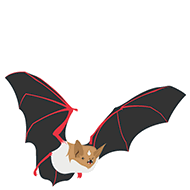 Alpine long-eared bat