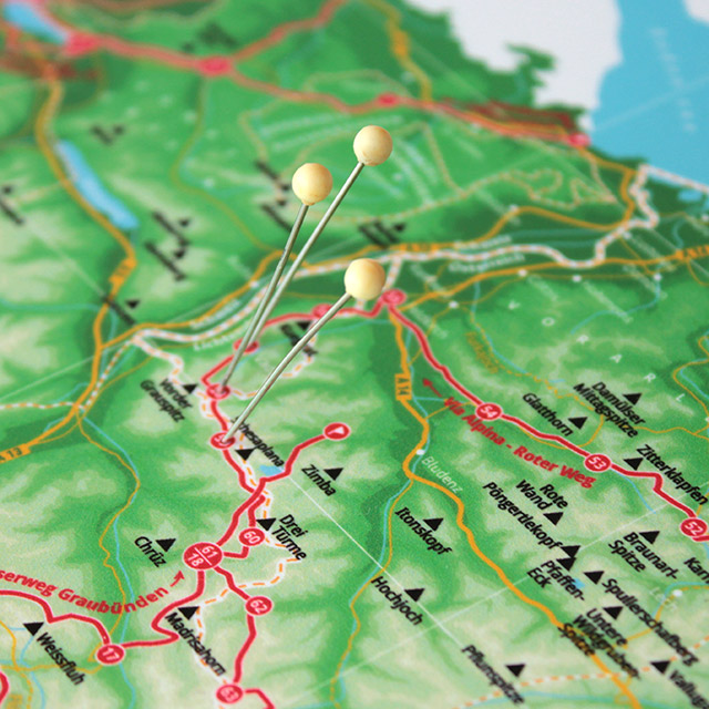 1001 Alpenberge Karte auf Hartschaum mit Pins