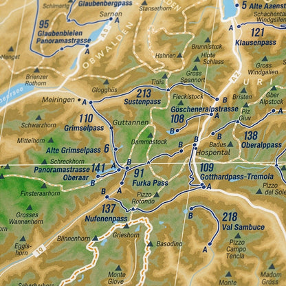 Detail view: 222 Mountain Passes of the Alps as a Wandkarte (1 of 4)