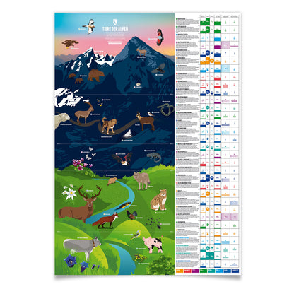 Tiere der Alpen als illustrierter Druck von Marmota Maps auf Papier