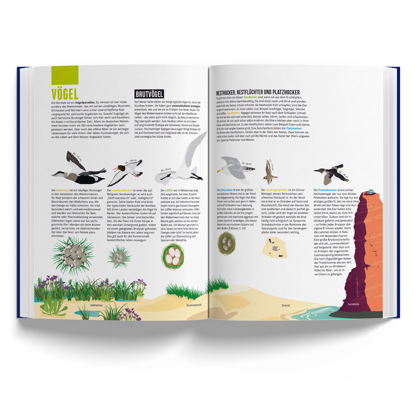 Detailansicht des Buchs „Das Nordseebuch“ (3 von 7)