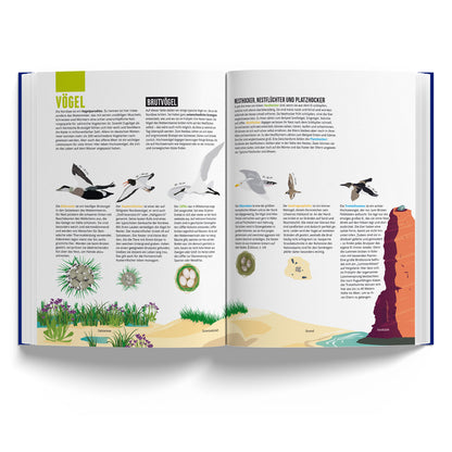 Detailansicht des Buchs „Das Nordseebuch“ (3 von 7)