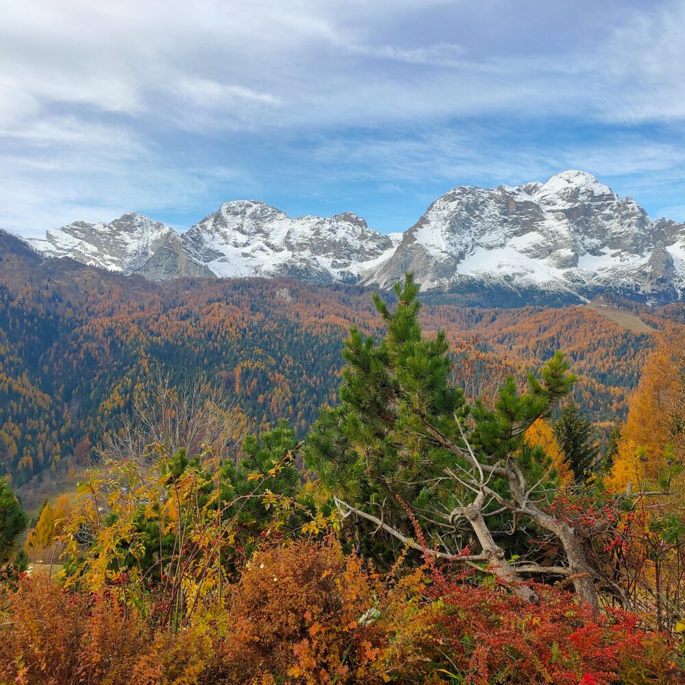 Val di Zoldo
Nationalpark Belluneser Dolomiten