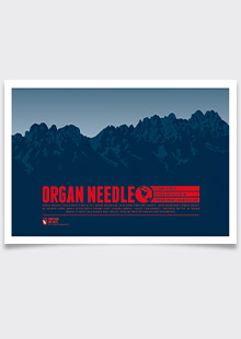 Organ Needle