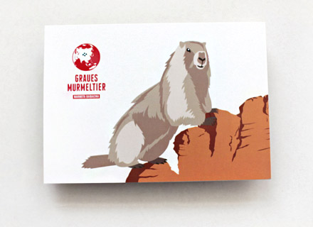 Gray Marmot