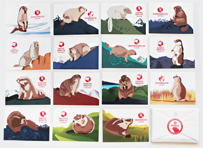 Postkartenset mit allen Murmeltierarten der Welt