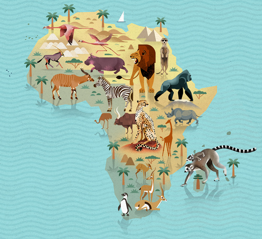 Die Welt der Tiere - Dieter Braun - Afrika